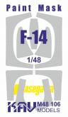 Окрасочная маска на F-14 (Hasegawa)